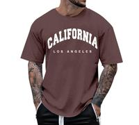 Men's Shirts Solid Hi Vis T-Shirt Short-Sleeve Vneck Tshirt Funny Linen Shirts Athletic Basic Tee Hip Hop Pullover Tops Sportwear (Brown,XXS)