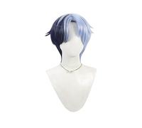 Mens Short Cosplay Wigs Dark Blue Light Blue Two Tone Wig Realistic Anime Costume Wigs Heat Resistant Synthetic Wig for Halloween Party