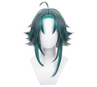 Mens Short Hair Wigs Green Anime Cosplay Wig for Men Male Heat Resistant Full Synthetic Hair Wig for Halloween Costume Cosplay