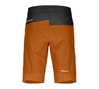 Men's shorts Ortovox Pala shorts (bristle brown)