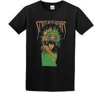 Men's Siouxsie Sioux and The Banshees Regular Fit T Shirt (Large)