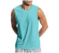Men's Sleeveless T-Shirt Summer Tank Tops Wide-Armhole Training Gym Vests Quick Dry Muscle Shirt Tank top Men Thermal Rash Vest Mens Swimming Wetsuit Mens Half Zip top (Mint Green, XL)