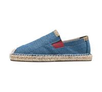 Men's Slip On Low Top Shoes,Men's Canvas Mesh Slip On Canvas Shoes,Wear Resistant,Lightweight,Fashionable,Suitable for Walking,Traveling,Playing at The Beach,Dating Blue