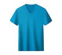 Men's Solid V-Neck T-Shirt Summer Fashion Cotton Athletic Short Sleeve T-Shirt Sport Slim Fit Classic T-Shirt (Blue 1,M)
