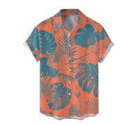 Mens Summer Shirts,Mens Summer Fashion Digital 3D Printed Short Sleeved Lapel Button Down Shirt Top