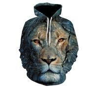 Men'S Sweatshirt 3D Digital Printing Sport Casual Long-Sleeved Sweatshirts Retro Personality Trend Hoodie NN-03 XL