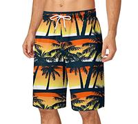 Mens Swim Trunks Brief Mens Long 3/4 Length Knee Short Summer Swim Shorts Board Shorts Quick Dry Surf Beach Big And Tal