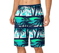 Mens Swim Trunks Brief Mens Long 3/4 Length Knee Short Summer Swim Shorts Board Shorts Quick Dry Surf Beach Big And Tal