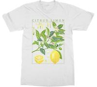 Men's T-Shirt 1Pcs Citrus Limon Men O Neck hirt Short Sleeve LemonBotanical Garden Plant Print Art Botany Bloom Fruit Flower Growfishings Black 3XL