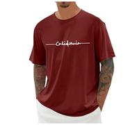 Mens T Shirt Short Sleeve Crew Neck Soft Fitted Tees Classic Tshirts Athletic Tees Exercise Fitness Activewear Short Sleeves Gym Workout Top Pull Over (Wine,3XL)