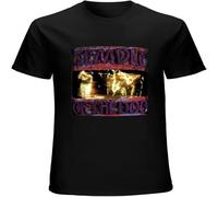 Men's T Shirt Temple of The Dog Twin Needle Sleeves and Hem Black M
