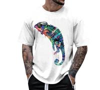 Mens T-Shirts Short Sleeve Cotton UPF 50+ Lightweight Moisture Wicking Cooling Casual Crew Neck Basic Tee Shirts Smart Work Wear Business Tops Sweatshirts （White, M