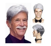 Men's Toupee Halloween Costume Seniors Hair Mens Silver White Wig Synthetic Grey Wigs for Old Man Male's Toupees Toupee for Men