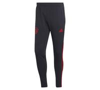 Men's Training Pants Night Grey 2022-23 Bayern Munich Active Football Sportswear