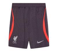 Men's Training Shorts Grey 2023-2024 Liverpool Strike Soccer Bottoms Sportswear