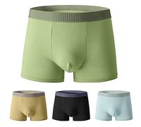 Mens Underpants Washable Protective Pants Soft Comfy and Secure Boxers for Drips and Dribbles Invisible Protection Classic Cut Light Absorption Boxer Cortos para Hombre(Green, XL)