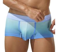 Men's Underwear - Trunks featuring Low Rise Breathable Ice Silk Fabric for Comfort Skin-Friendly Weave Lightweight Seamless Fit Durable Elastic Waistband Everyday for Men (Light Green- L)