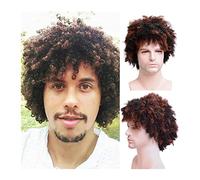 Mens Wig Mens Curly Mixed Short Wig Fluffy Synthetic Daily Cosplay Halloween Hair Wig for Male Guys Natural Afro Curly Heat Resistant Wigs Wigs for Men