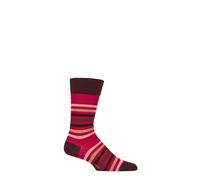 Mens Wool Socks Tinted Stripe 1 Pair Pack Sizes 5.5-8, 8.5-11, 11.5-14.5 - Falke