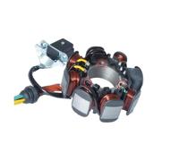 MENSUNUBNM Motorcycle Motorcycle 5 Wire 8 Poles Magneto Stator Coil Generator Spare Parts For CG125 ZJ125 CG ZJ 125 125cc (Average Hole)