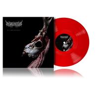 Mental Cruelty - Echoes of a Forlorn Land [VINYL] Pre-sale 23/10/26