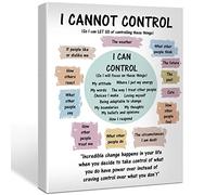 Mental Health Canvas Poster What I Can and Cannot Control Print Painting for Therapy Office School Wall Art Decoration 11.5 x 15 inch (Framed)