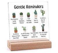 Mental Health Cheer Up Gifts for Friend Coworker Daughter Son Inspirational Gifts Desk Decor Signs Encouragement Motivational Quotes Gift Acrylic Sign With Wooden Stand Christmas Get Well Soon Gift