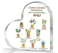 Mental Health Decor, Mindfulness Decor for Therapy Office, Things I Can Control Acrylic Heart Gifts, School Counselor Sign, Therapist Art Decorations for Living Room Bedroom