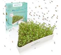 Mental-High® Cress Bowl with Stainless Steel Strainer - Triangular Germination Tray for Cress Seeds - Sustainable Germination Without Soil - Ceramic Germinator with Flower of Life Design - BPA Free &