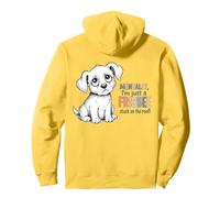 Mentally I'm Just a Frisbee Stuck on the Roof Pullover Hoodie