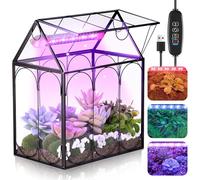 Meonum Tiny Glass Terrarium Kit with Grow Light, 7.1 x 4.7 x 8.7 Venus Fly Trap Terrarium with Absorbent Mat, Timer&3 Light Modes for Succulent Live Air Plants Indoor Home Office Decor (USB Powered)