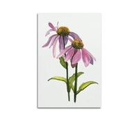 MEQKTQIMA Plant Poster Daisy Watercolor Realism Decorative Painting Canvas Wall Posters And Modern Family Bedroom Decor 16x24inch(40x60cm)