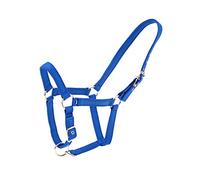 Merauno® Holder Set Trendy Nylon Horse Halter Silver Adjustable Buckle in the Neck and Nose High Quality Polyester Band for Pony Thoroughbred Warmblood (Cob, Blue)