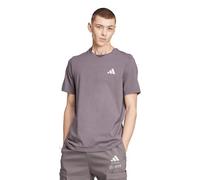 adidas Men's Mercedes - AMG Petronas Formula ONE Team Premium Woven Graphic TEE Men, Grey strata/Frozen Green, M