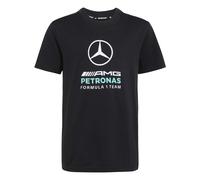 adidas Unisex Kids Mercedes - AMG Petronas Formula 1 Team DNA Graphic TEE, Black, 13-14 Years