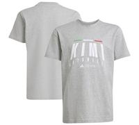 adidas Unisex Kids Mercedes - AMG Petronas Formula ONE Team Kimi ANTONELLI TEE Youth, Medium Grey Heather, 9-10 Years