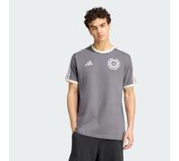 adidas Men's Mercedes - Amg Petronas Formula 1 Team Silver Arrows Icon Shirt, Granite/Off White, XL
