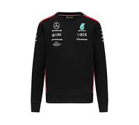 Mercedes AMG Petronas Formula One Team - 2023 Team Sweatshirt - Black - Men - Size: L