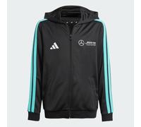 MERCEDES - AMG PETRONAS FORMULA ONE TEAM DNA FULL ZIP HOOD