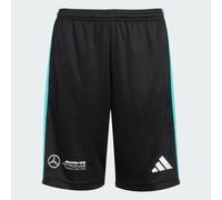 adidas Unisex Kids Mercedes - AMG Petronas Formula ONE Team DNA Short Youth, Black/White, 15-16 Years