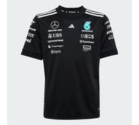 MERCEDES - AMG PETRONAS FORMULA ONE TEAM DRIVER JERSEY