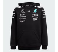 MERCEDES - AMG PETRONAS FORMULA ONE TEAM HOOD