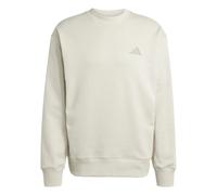 adidas Men's MERCEDES - AMG PETRONAS FORMULA ONE TEAM PREMIUM SWEAT SWEAT TOP MEN, wonder alumina/putty beige, XXL