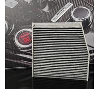 RIDEX 424I0257 Pollen filter