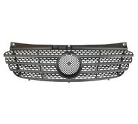 Mercedes Vito 04-10 Grille Black (5012)