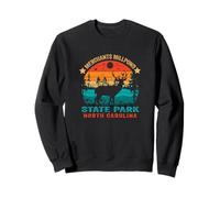Merchants Millpond State Park North Carolina Retro Sunset Sweatshirt