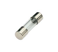 Mercury 5 x 20 mm 100 mAh Slow Blow Fuse