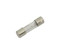 Mercury 5 x 20 mm 160 mAh Slow Blow Fuse