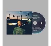 Mereba - The Breeze Grew A Fire