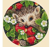 Merejka Cross Stitch Pattern, Cotton, Multicoloured, Ø 22 cm